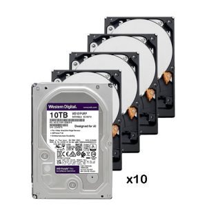 Accesorios - Discos Duros - Western Digital PACK-10-WD101PURP